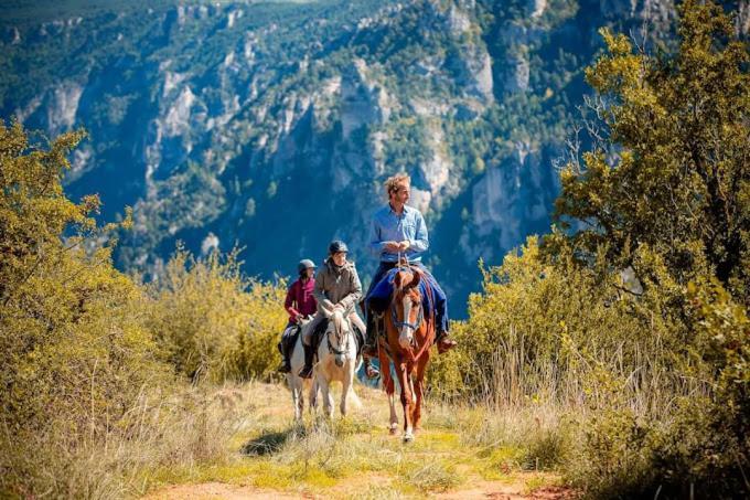 Villa Gite A La Ferme Dans Les Gorges Du Tarn à Ispagnac Extérieur photo